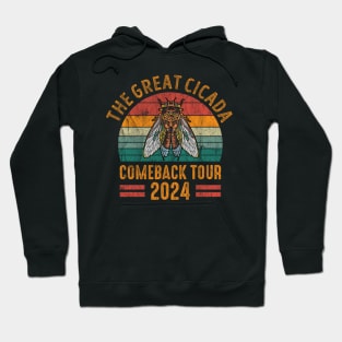 The Great Cicada Comeback Tour 2024 Vintage Hoodie